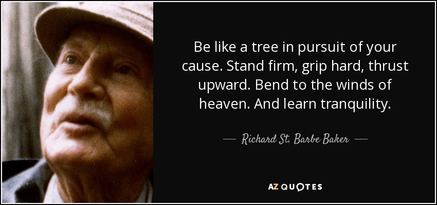 Be like a tree in pursuit of your cause. Stand firm, grip hard, thrust upward. Bend to the winds of heaven. And learn tranquility. - Richard St. Barbe Baker