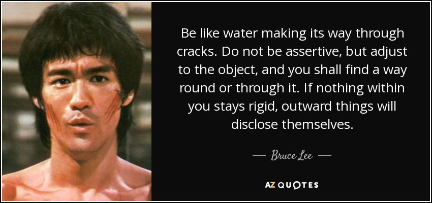 Be like water making its way through cracks. Do not be assertive, but adjust to the object, and you shall find a way round or through it. If nothing within you stays rigid, outward things will disclose themselves. - Bruce Lee
