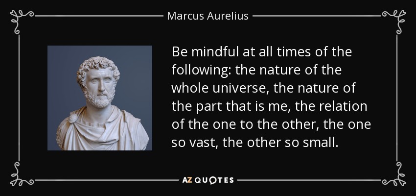 Be mindful at all times of the following: the nature of the whole universe, the nature of the part that is me, the relation of the one to the other, the one so vast, the other so small. - Marcus Aurelius