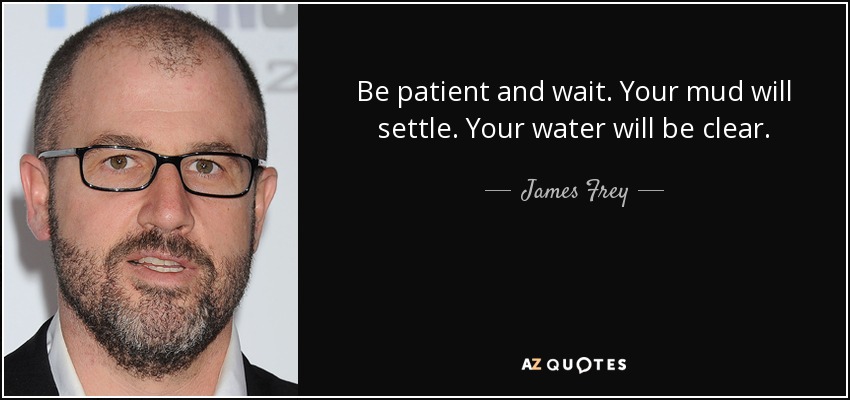 Be patient and wait. Your mud will settle. Your water will be clear. - James Frey