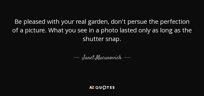 Be pleased with your real garden, don't persue the perfection of a picture. What you see in a photo lasted only as long as the shutter snap. - Janet Macunovich