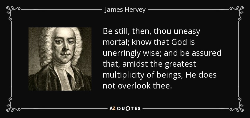 Be still, then, thou uneasy mortal; know that God is unerringly wise; and be assured that, amidst the greatest multiplicity of beings, He does not overlook thee. - James Hervey