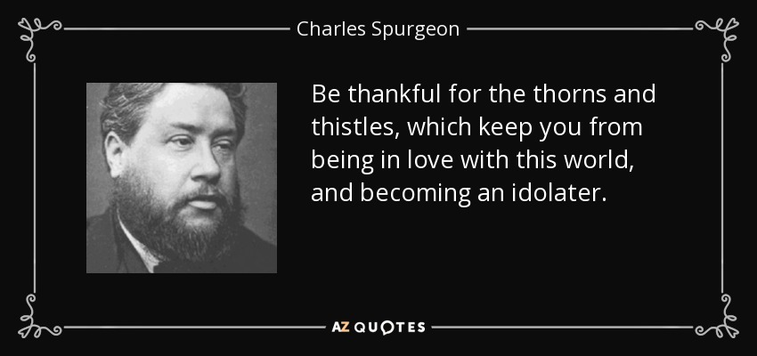 Be thankful for the thorns and thistles, which keep you from being in love with this world, and becoming an idolater. - Charles Spurgeon