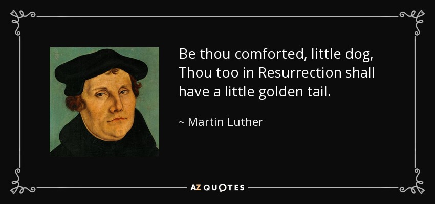 Be thou comforted, little dog, Thou too in Resurrection shall have a little golden tail. - Martin Luther