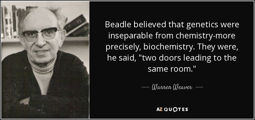 Beadle believed that genetics were inseparable from chemistry-more precisely, biochemistry. They were, he said, 