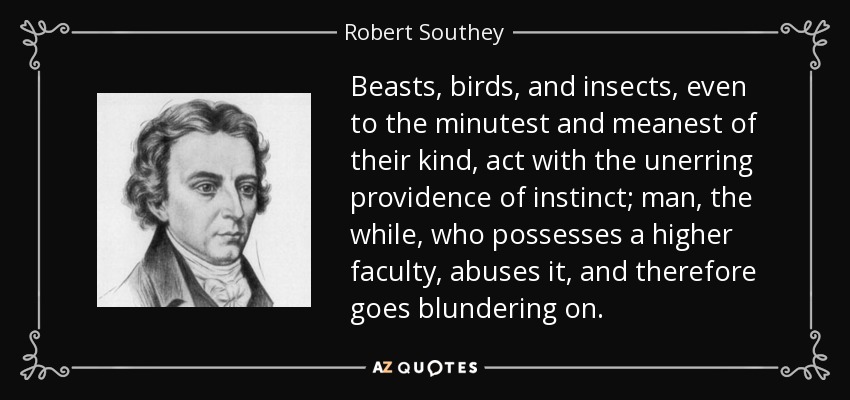 Beasts, birds, and insects, even to the minutest and meanest of their kind, act with the unerring providence of instinct; man, the while, who possesses a higher faculty, abuses it, and therefore goes blundering on. - Robert Southey