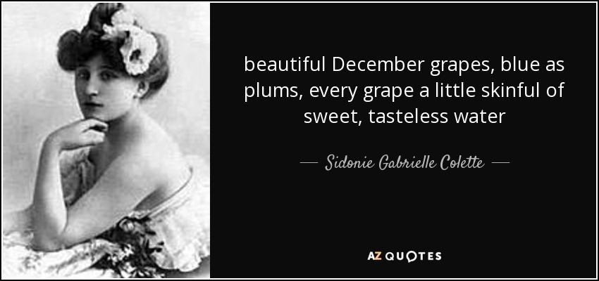 beautiful December grapes, blue as plums, every grape a little skinful of sweet, tasteless water - Sidonie Gabrielle Colette