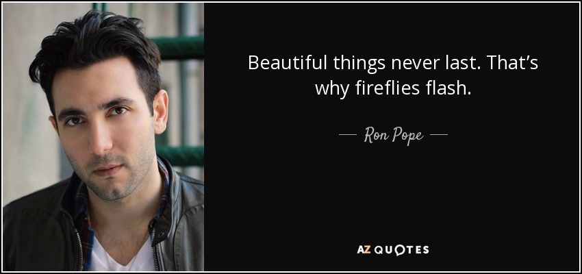 Beautiful things never last. That’s why fireflies flash. - Ron Pope