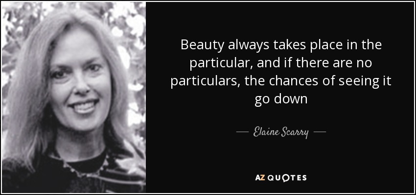 Beauty always takes place in the particular, and if there are no particulars, the chances of seeing it go down - Elaine Scarry