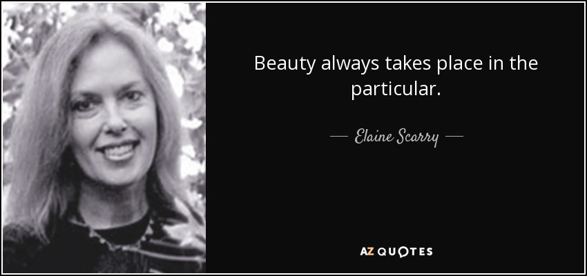 Beauty always takes place in the particular. - Elaine Scarry