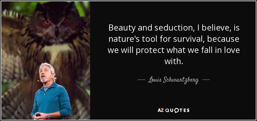Beauty and seduction, I believe, is nature's tool for survival, because we will protect what we fall in love with. - Louis Schwartzberg
