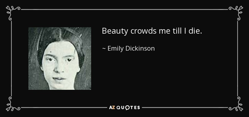 Beauty crowds me till I die. - Emily Dickinson