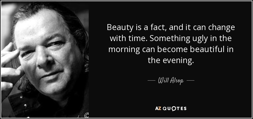 Beauty is a fact, and it can change with time. Something ugly in the morning can become beautiful in the evening. - Will Alsop