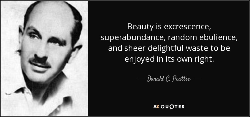 Beauty is excrescence, superabundance, random ebulience, and sheer delightful waste to be enjoyed in its own right. - Donald C. Peattie