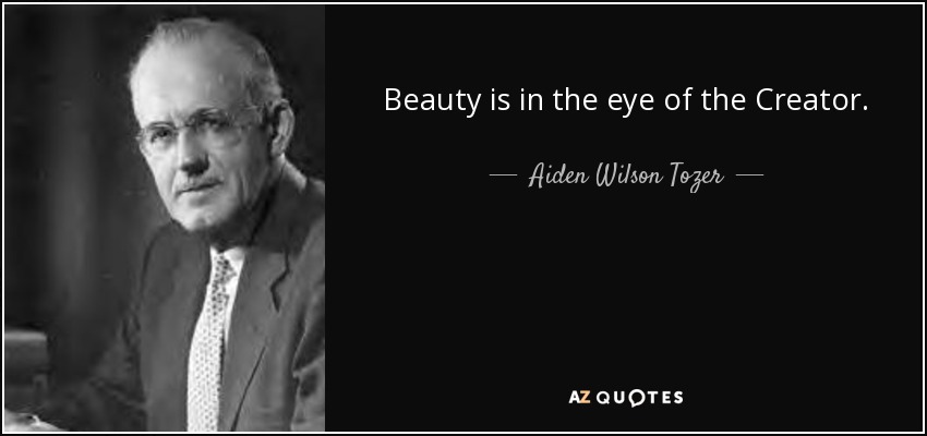 Beauty is in the eye of the Creator. - Aiden Wilson Tozer