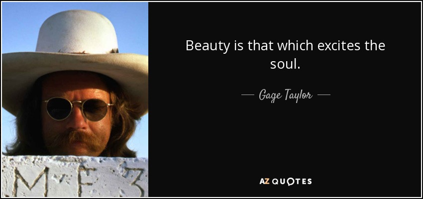 Beauty is that which excites the soul. - Gage Taylor