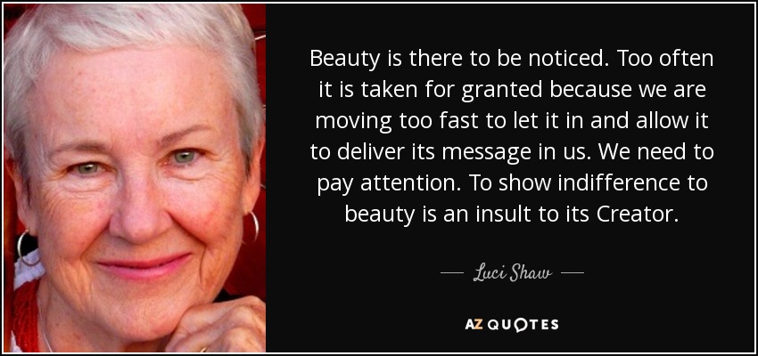 Beauty is there to be noticed. Too often it is taken for granted because we are moving too fast to let it in and allow it to deliver its message in us. We need to pay attention. To show indifference to beauty is an insult to its Creator. - Luci Shaw