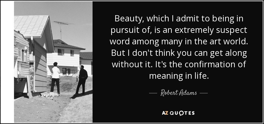 Beauty, which I admit to being in pursuit of, is an extremely suspect word among many in the art world. But I don't think you can get along without it. It's the confirmation of meaning in life. - Robert Adams