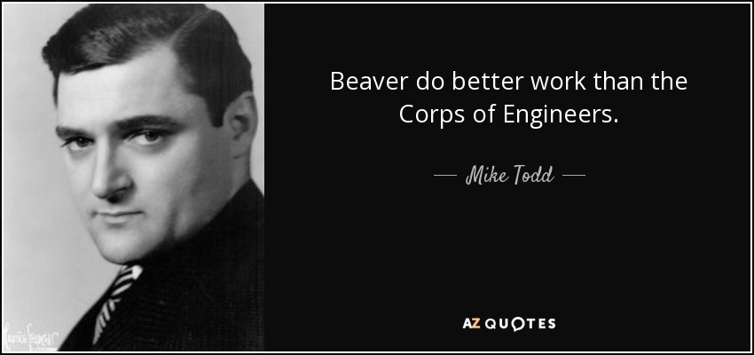 Beaver do better work than the Corps of Engineers. - Mike Todd