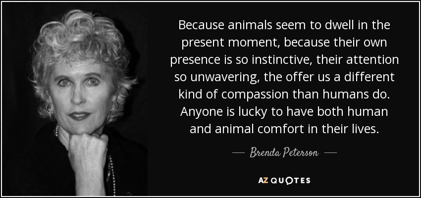 Because animals seem to dwell in the present moment, because their own presence is so instinctive, their attention so unwavering, the offer us a different kind of compassion than humans do. Anyone is lucky to have both human and animal comfort in their lives. - Brenda Peterson