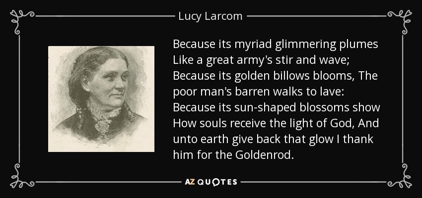 Because its myriad glimmering plumes Like a great army's stir and wave; Because its golden billows blooms, The poor man's barren walks to lave: Because its sun-shaped blossoms show How souls receive the light of God, And unto earth give back that glow I thank him for the Goldenrod. - Lucy Larcom