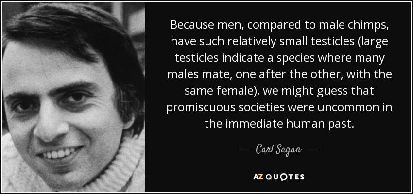 Because men, compared to male chimps, have such relatively small testicles (large testicles indicate a species where many males mate, one after the other, with the same female), we might guess that promiscuous societies were uncommon in the immediate human past. - Carl Sagan