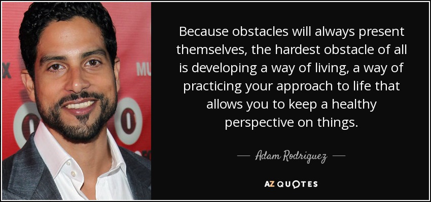 Because obstacles will always present themselves, the hardest obstacle of all is developing a way of living, a way of practicing your approach to life that allows you to keep a healthy perspective on things. - Adam Rodriguez