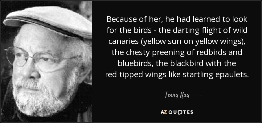 Because of her, he had learned to look for the birds - the darting flight of wild canaries (yellow sun on yellow wings), the chesty preening of redbirds and bluebirds, the blackbird with the red-tipped wings like startling epaulets. - Terry Kay