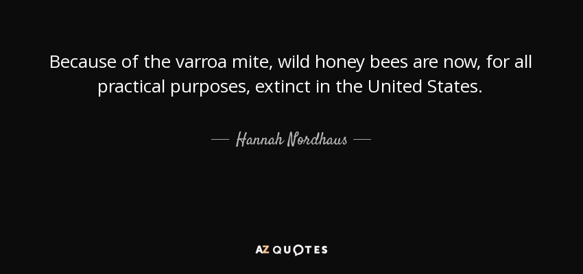Because of the varroa mite, wild honey bees are now, for all practical purposes, extinct in the United States. - Hannah Nordhaus