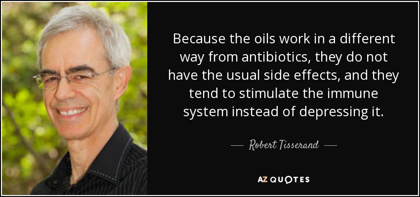 Because the oils work in a different way from antibiotics, they do not have the usual side effects, and they tend to stimulate the immune system instead of depressing it. - Robert Tisserand