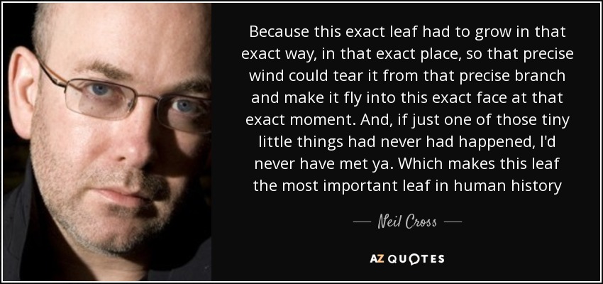 Because this exact leaf had to grow in that exact way, in that exact place, so that precise wind could tear it from that precise branch and make it fly into this exact face at that exact moment. And, if just one of those tiny little things had never had happened, I'd never have met ya. Which makes this leaf the most important leaf in human history - Neil Cross