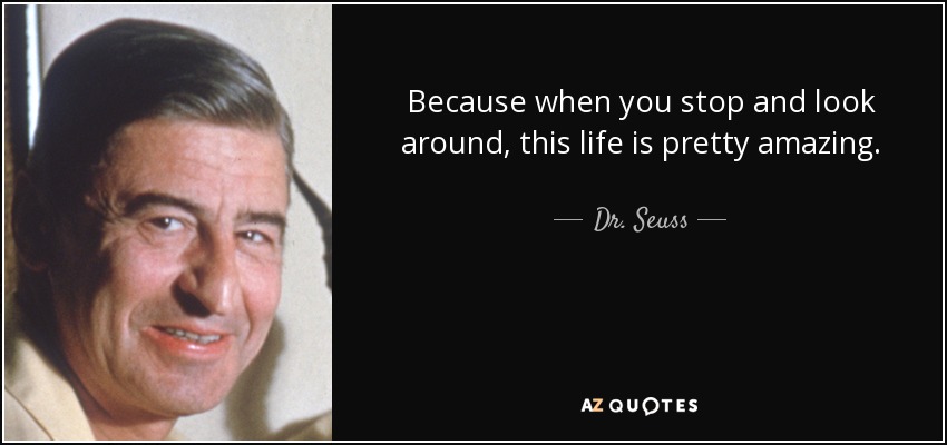 Because when you stop and look around, this life is pretty amazing. - Dr. Seuss