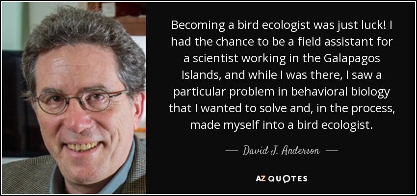 Becoming a bird ecologist was just luck! I had the chance to be a field assistant for a scientist working in the Galapagos Islands, and while I was there, I saw a particular problem in behavioral biology that I wanted to solve and, in the process, made myself into a bird ecologist. - David J. Anderson