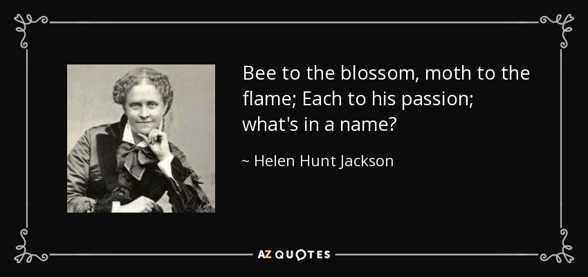 Bee to the blossom, moth to the flame; Each to his passion; what's in a name? - Helen Hunt Jackson