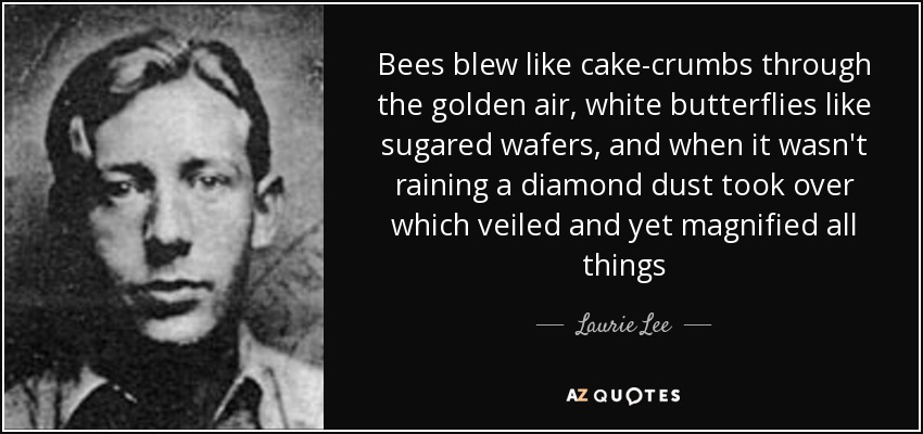 Bees blew like cake-crumbs through the golden air, white butterflies like sugared wafers, and when it wasn't raining a diamond dust took over which veiled and yet magnified all things - Laurie Lee