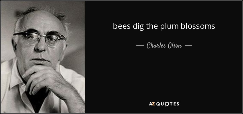 bees dig the plum blossoms - Charles Olson