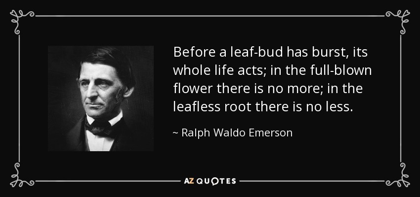 Before a leaf-bud has burst, its whole life acts; in the full-blown flower there is no more; in the leafless root there is no less. - Ralph Waldo Emerson
