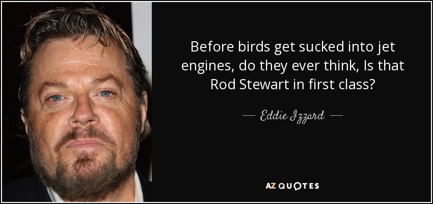 Before birds get sucked into jet engines, do they ever think, Is that Rod Stewart in first class? - Eddie Izzard