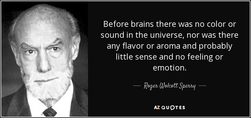 Before brains there was no color or sound in the universe, nor was there any flavor or aroma and probably little sense and no feeling or emotion. - Roger Wolcott Sperry