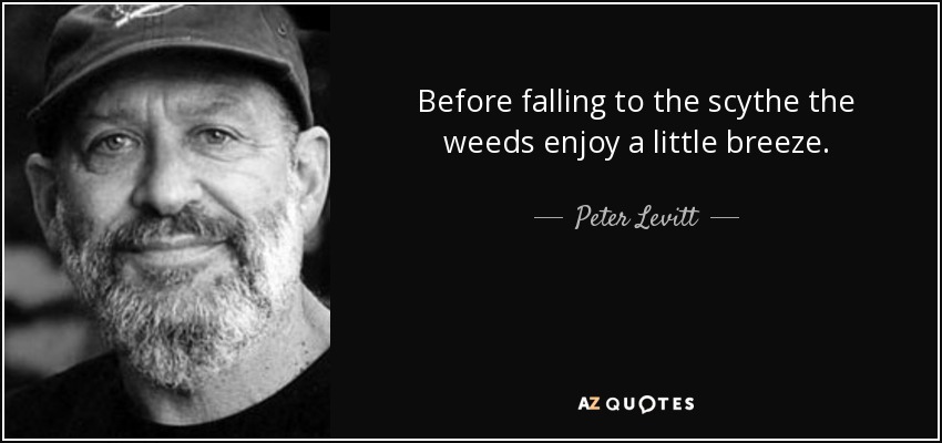 Before falling to the scythe the weeds enjoy a little breeze. - Peter Levitt