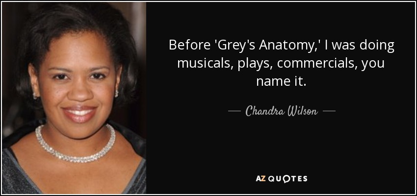 Before 'Grey's Anatomy,' I was doing musicals, plays, commercials, you name it. - Chandra Wilson