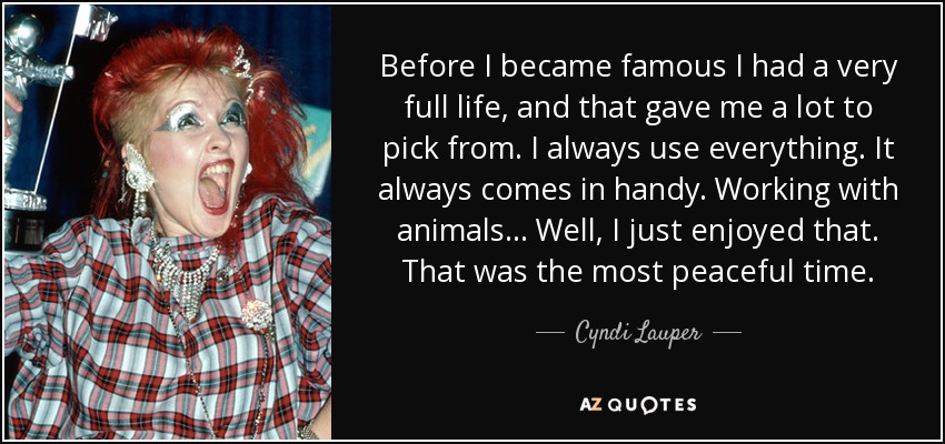 Before I became famous I had a very full life, and that gave me a lot to pick from. I always use everything. It always comes in handy. Working with animals... Well, I just enjoyed that. That was the most peaceful time. - Cyndi Lauper