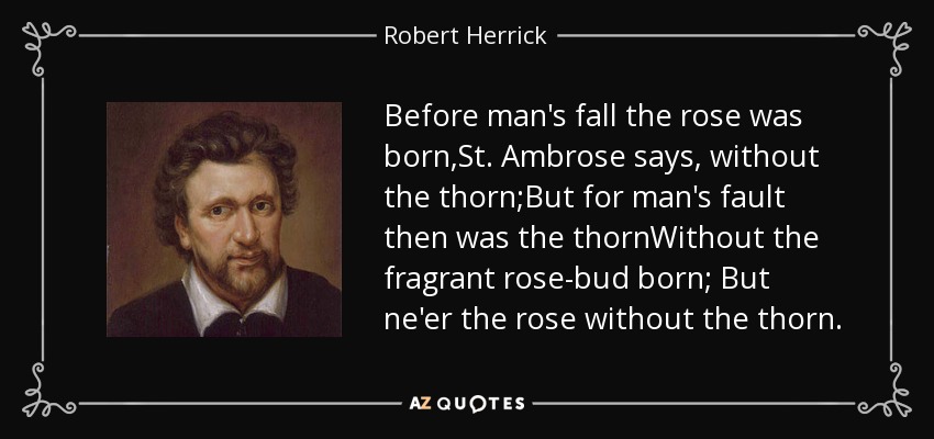 Before man's fall the rose was born,St. Ambrose says, without the thorn;But for man's fault then was the thornWithout the fragrant rose-bud born; But ne'er the rose without the thorn. - Robert Herrick