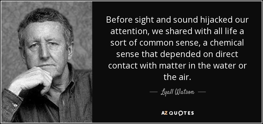 Before sight and sound hijacked our attention, we shared with all life a sort of common sense, a chemical sense that depended on direct contact with matter in the water or the air. - Lyall Watson