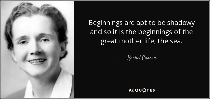 Beginnings are apt to be shadowy and so it is the beginnings of the great mother life, the sea. - Rachel Carson