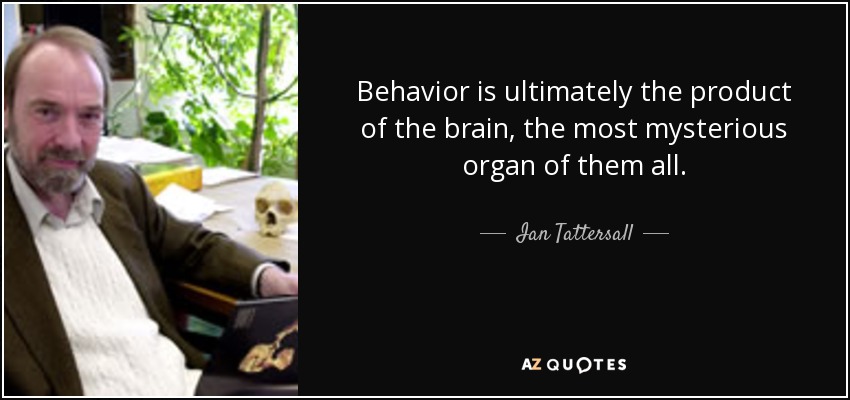 Behavior is ultimately the product of the brain, the most mysterious organ of them all. - Ian Tattersall