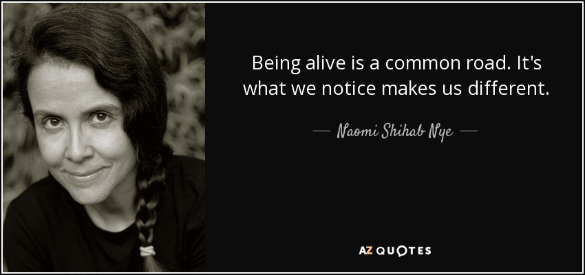 Being alive is a common road. It's what we notice makes us different. - Naomi Shihab Nye