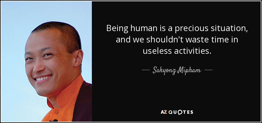 Being human is a precious situation, and we shouldn't waste time in useless activities. - Sakyong Mipham