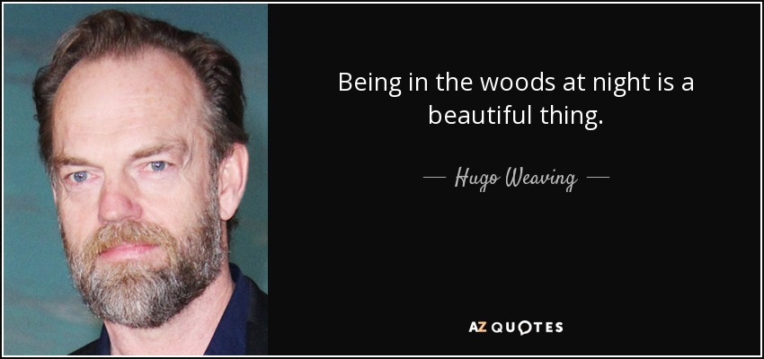Being in the woods at night is a beautiful thing. - Hugo Weaving
