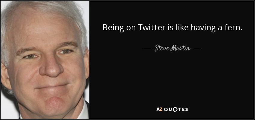 Being on Twitter is like having a fern. - Steve Martin